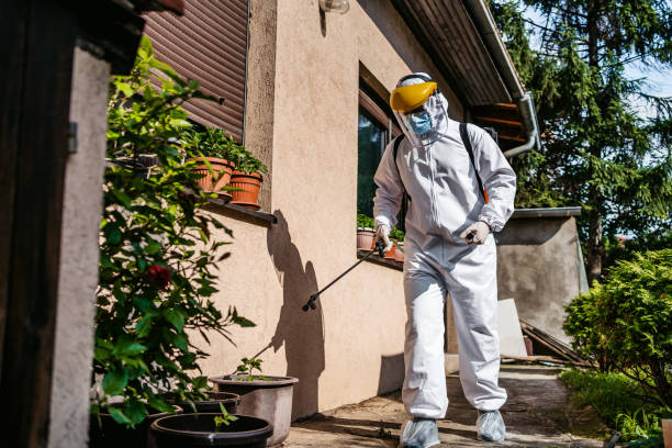 Best Local Pest Control Services  in Richfield Springs, NY