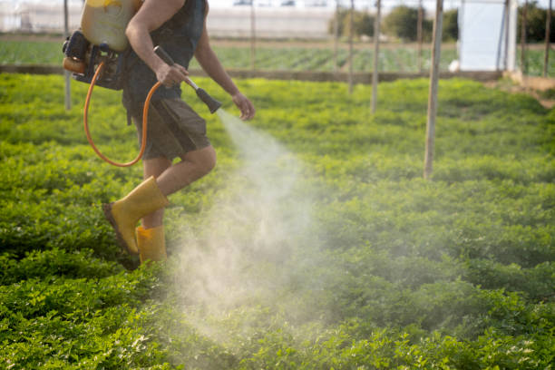 Best Affordable Pest Control Services  in Richfield Springs, NY