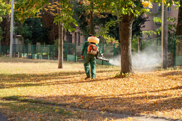 Best Bird Control  in Richfield Springs, NY