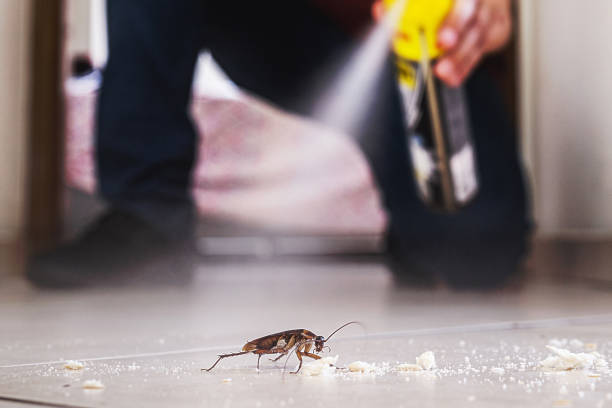 Best Flea Control Services  in Richfield Springs, NY