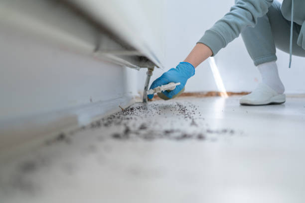 Best Residential Pest Control  in Richfield Springs, NY